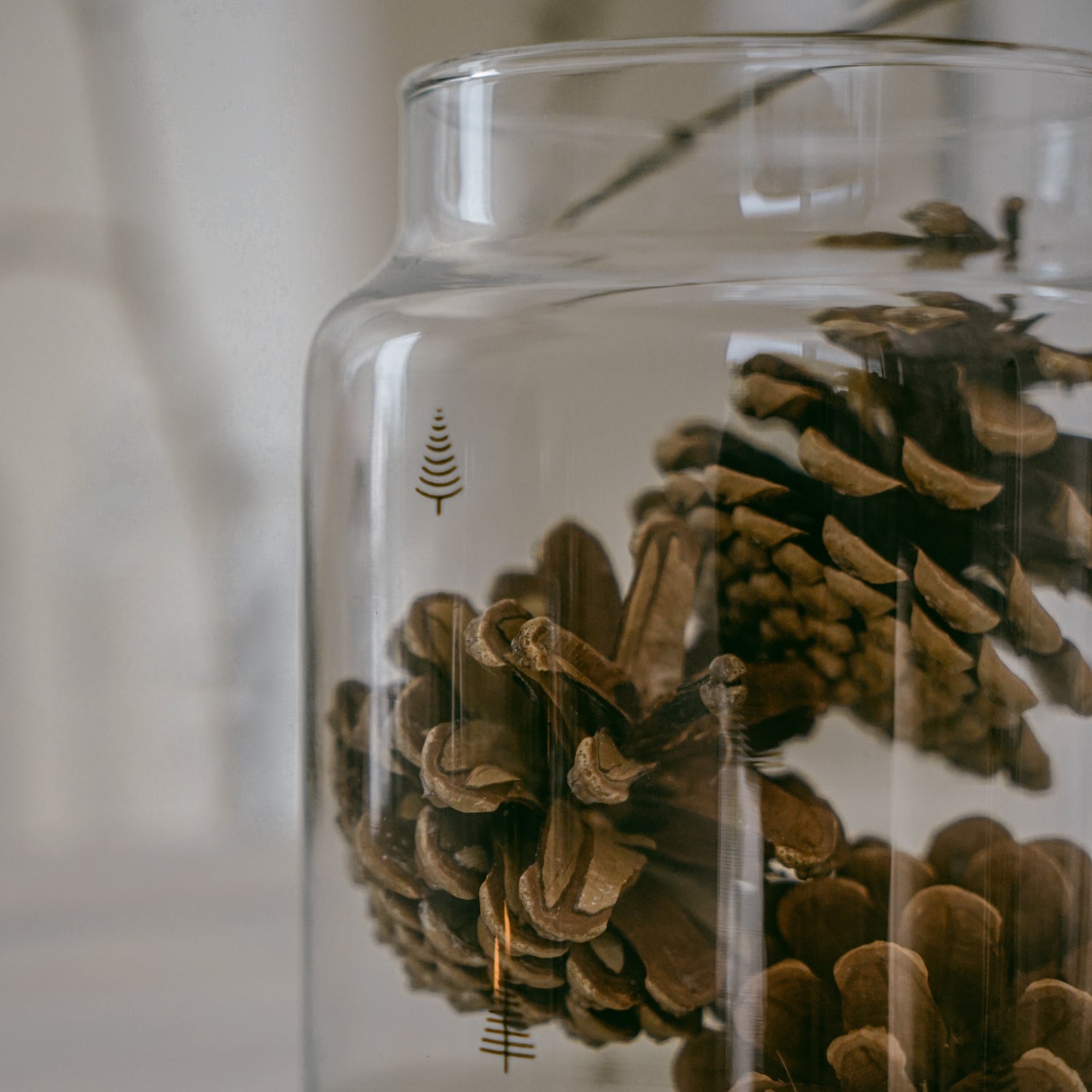 Vase en verre grand sapins