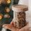 Mini Vorratsglas mit Sternen und Holzdeckel, gefüllt mit Mandeln vor weihnachtlicher Kulisse
