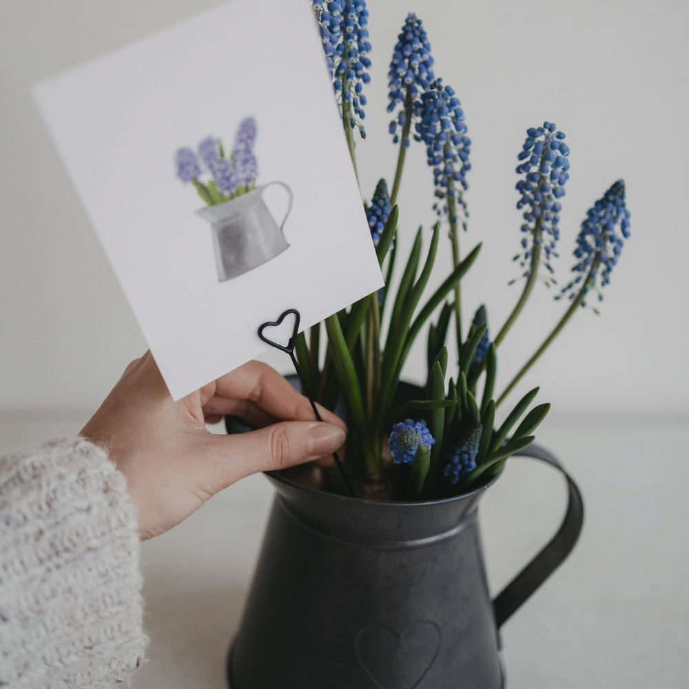 Schwarzer Herz-Stecker mit Postkarte in einem Topf blauer Traubenhyazinthen platziert.