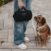 Hund blickt zu schwarzer Hundedecke in Hand einer Person auf Gehweg