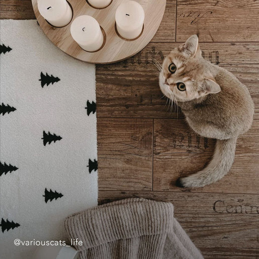 Waschbare Fußmatte Tannen