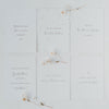 Ensemble 6 cartes postales "Buntes Leben"