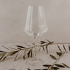 Verre à vin Wine Lover 490ml