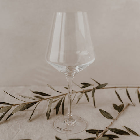 Verre à vin Wine Lover 490ml