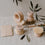 Brosses à vaisselle en lot de 5